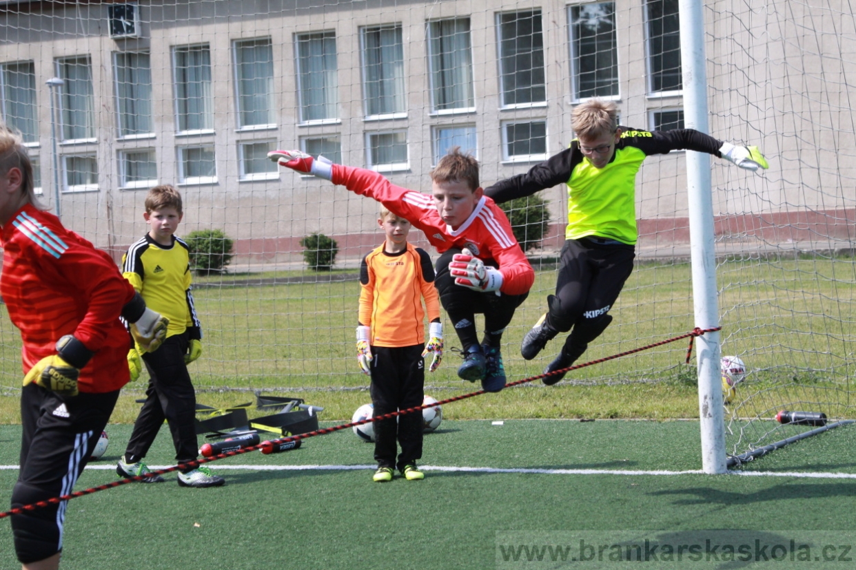 BFŠJCH - Léto 2018 - Středa