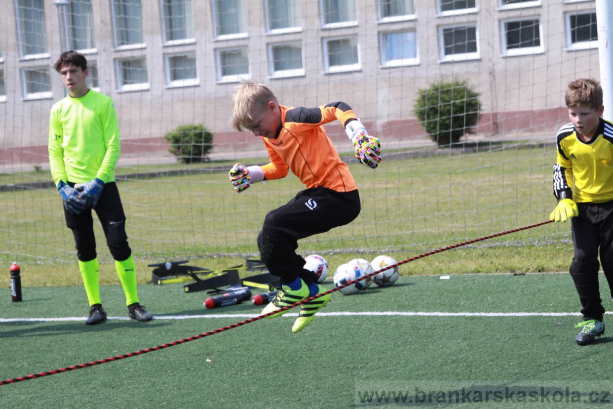 BFŠJCH - Léto 2018 - Středa