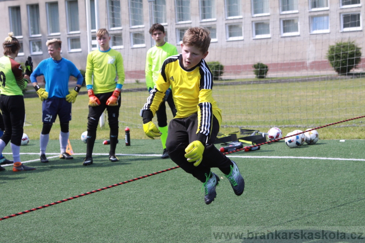 BFŠJCH - Léto 2018 - Středa