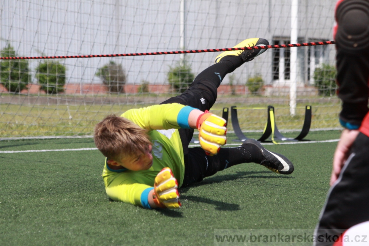 BFŠJCH - Léto 2018 - Středa