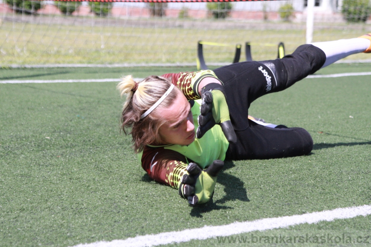 BFŠJCH - Léto 2018 - Středa