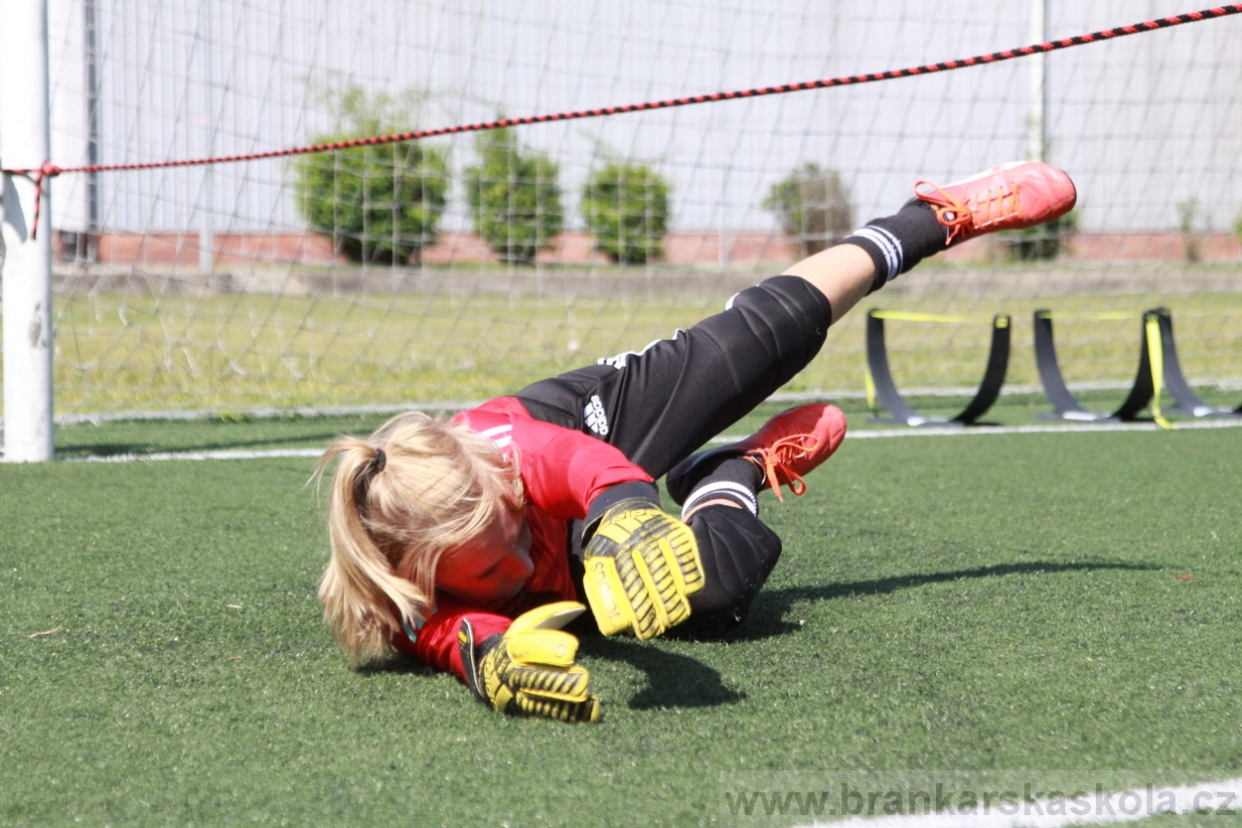 BFŠJCH - Léto 2018 - Středa