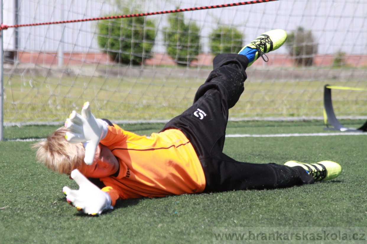 BFŠJCH - Léto 2018 - Středa