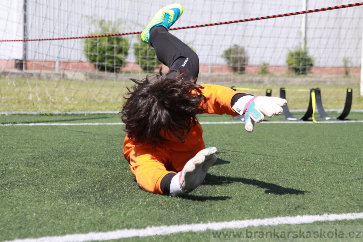 BFŠJCH - Léto 2018 - Středa