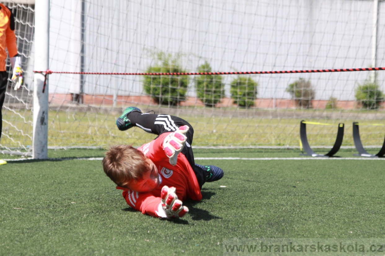 BFŠJCH - Léto 2018 - Středa