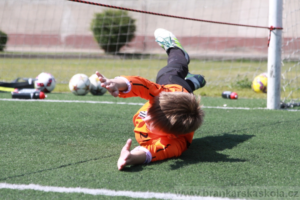 BFŠJCH - Léto 2018 - Středa