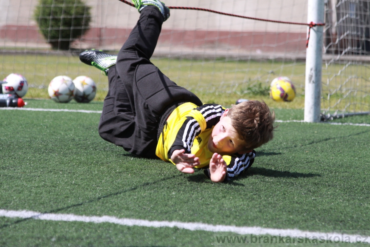 BFŠJCH - Léto 2018 - Středa