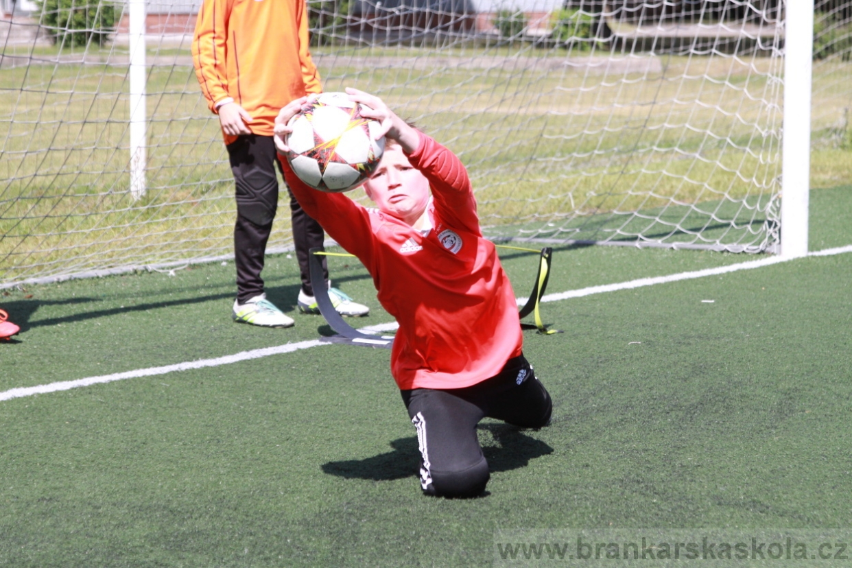 BFŠJCH - Léto 2018 - Středa