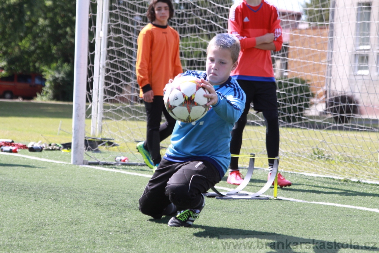 BFŠJCH - Léto 2018 - Středa