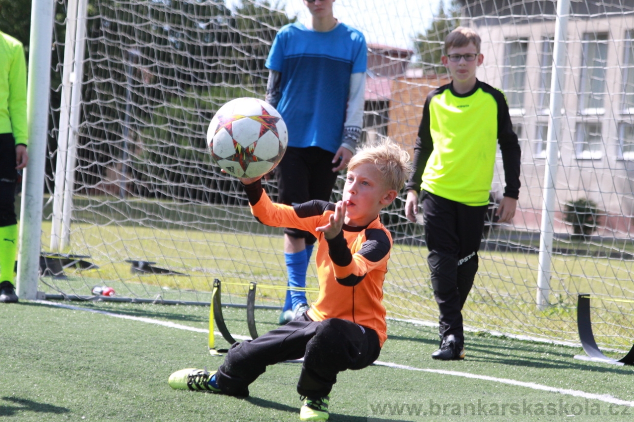 BFŠJCH - Léto 2018 - Středa