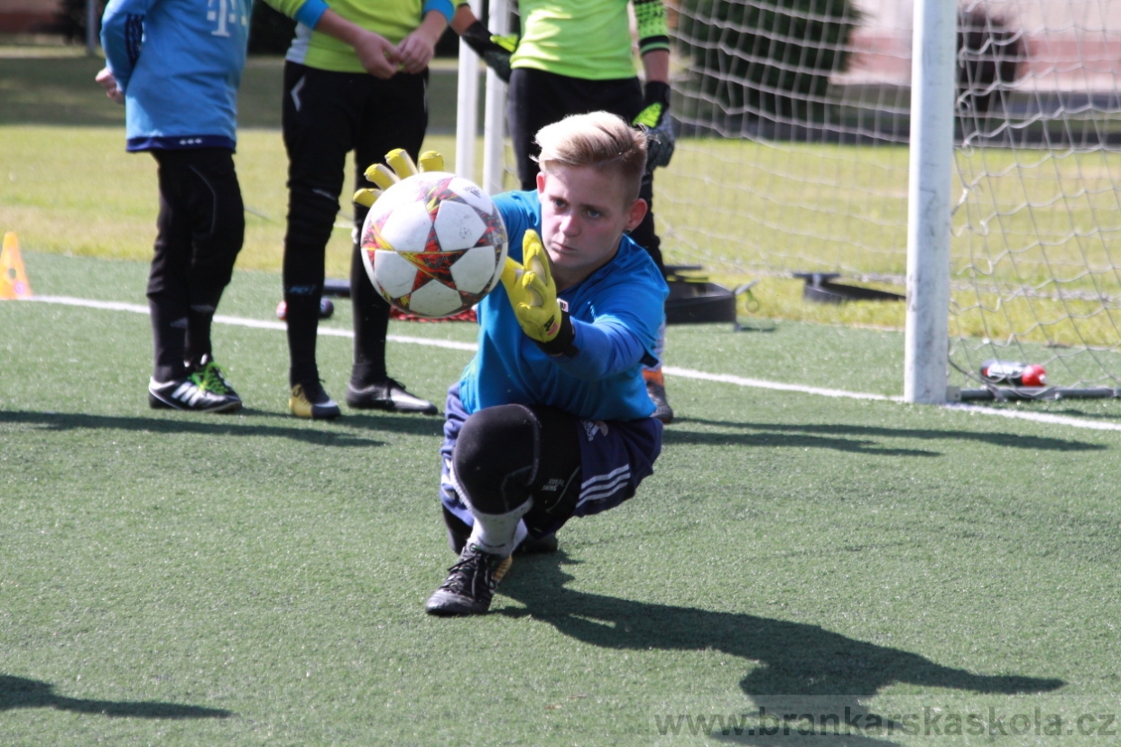 BFŠJCH - Léto 2018 - Středa