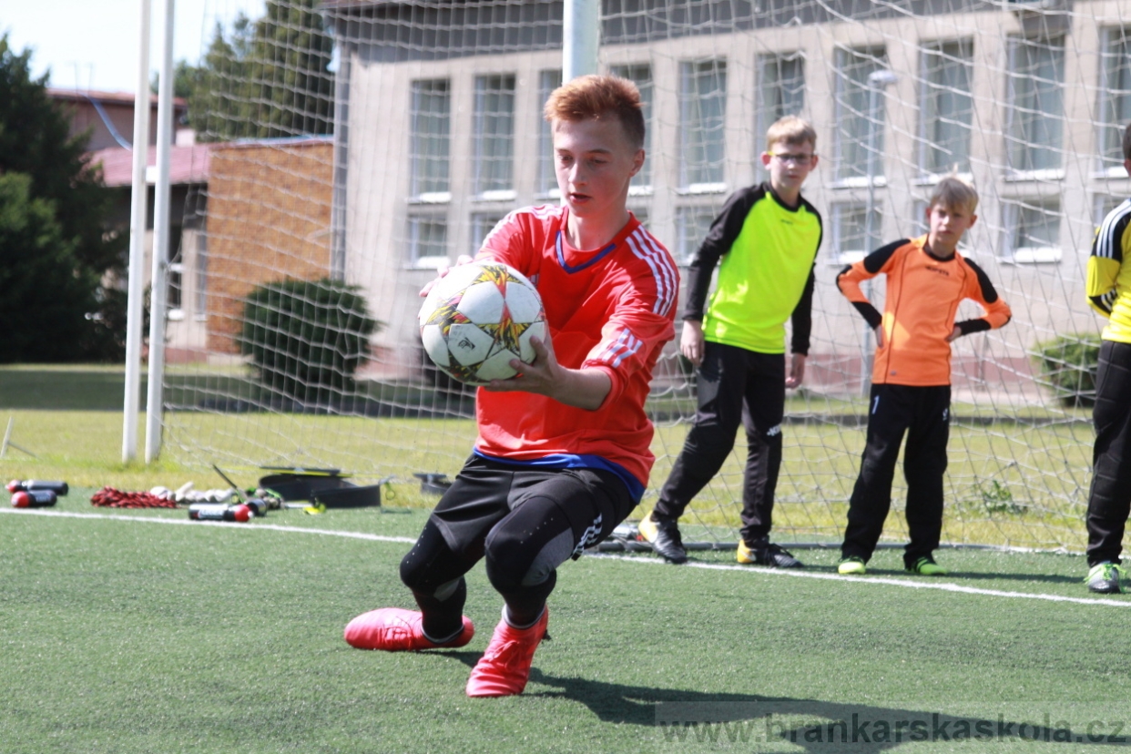 BFŠJCH - Léto 2018 - Středa