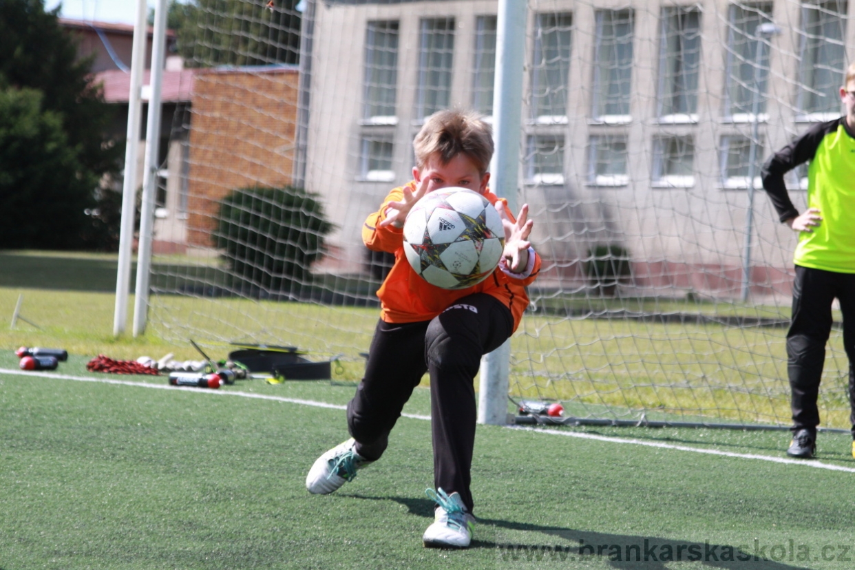 BFŠJCH - Léto 2018 - Středa