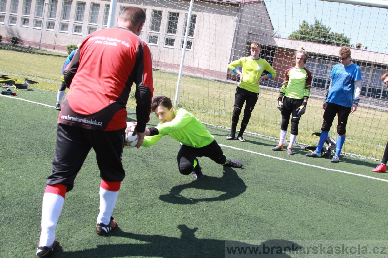 BFŠJCH - Léto 2018 - Středa