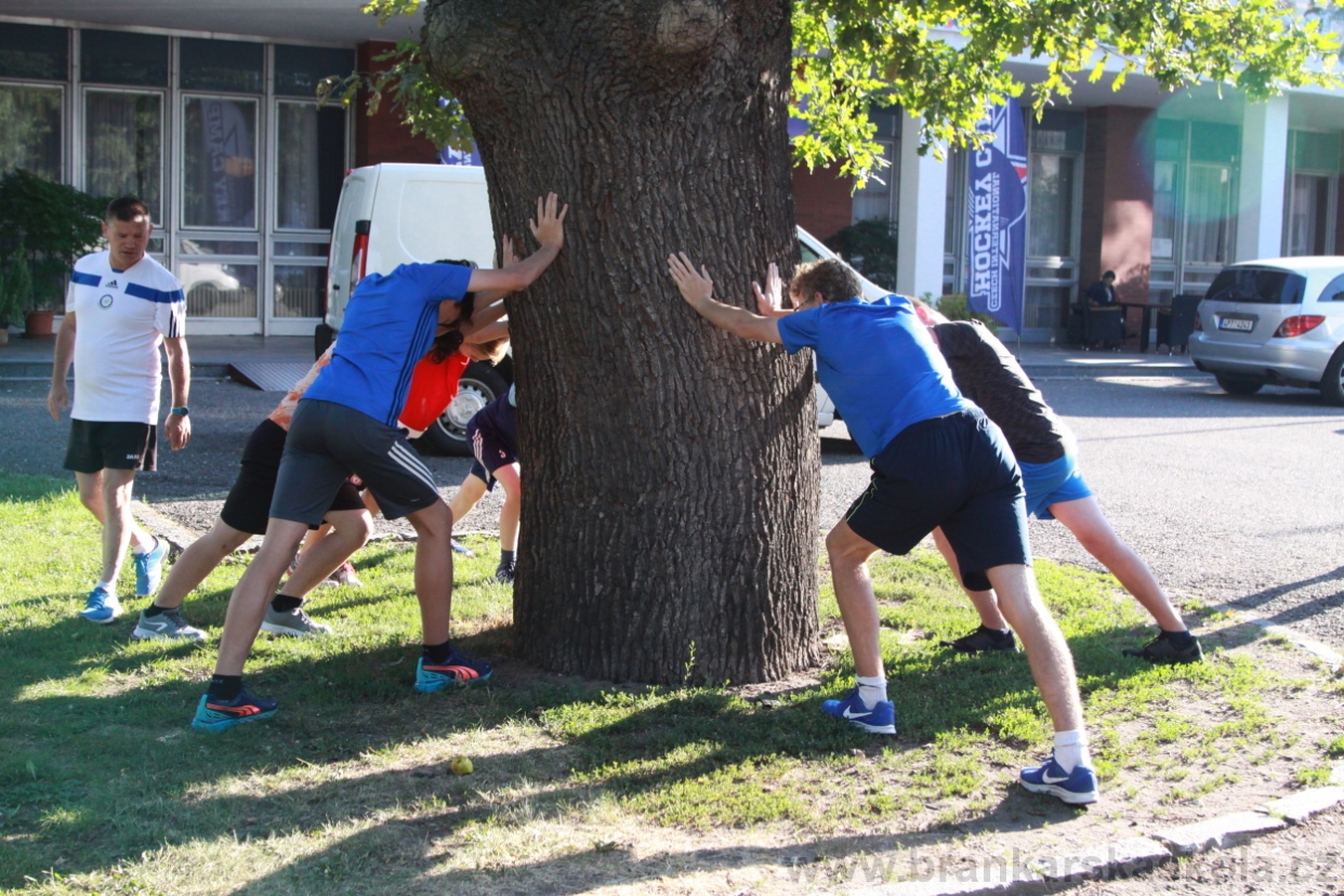 BFŠJCH - Léto 2018 - Středa