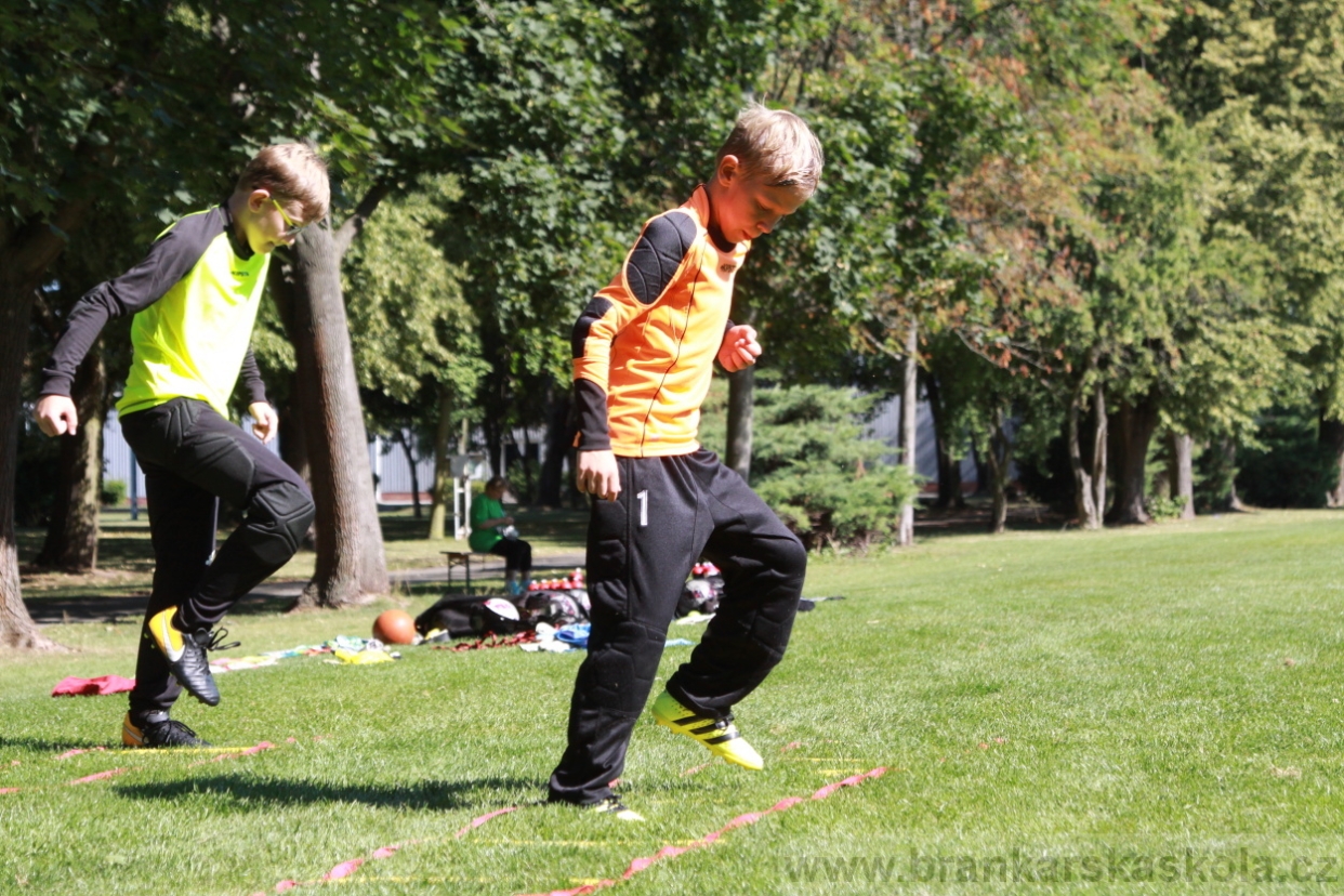BFŠJCH - Léto 2018 - Středa