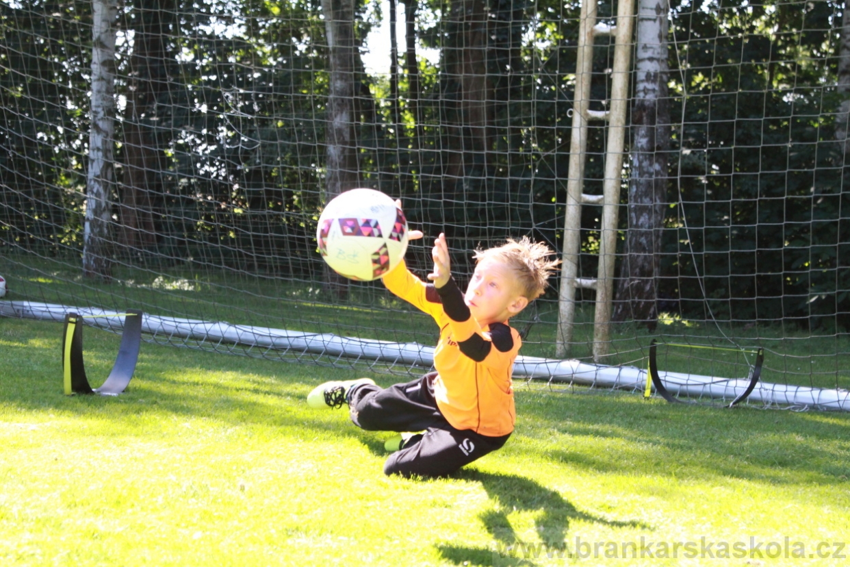 BFŠJCH - Léto 2018 - Středa