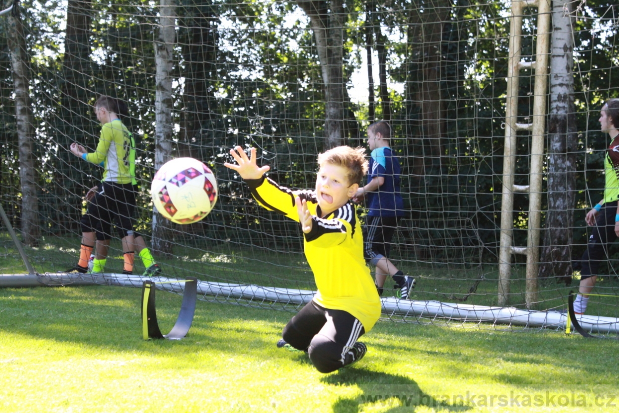 BFŠJCH - Léto 2018 - Středa