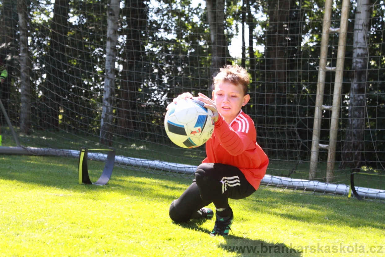 BFŠJCH - Léto 2018 - Středa