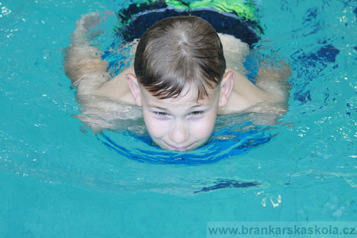 BFŠJCH - Léto 2018 - Středa