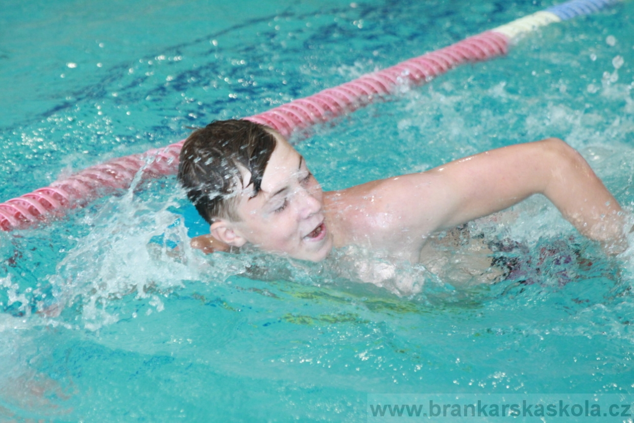 BFŠJCH - Léto 2018 - Středa