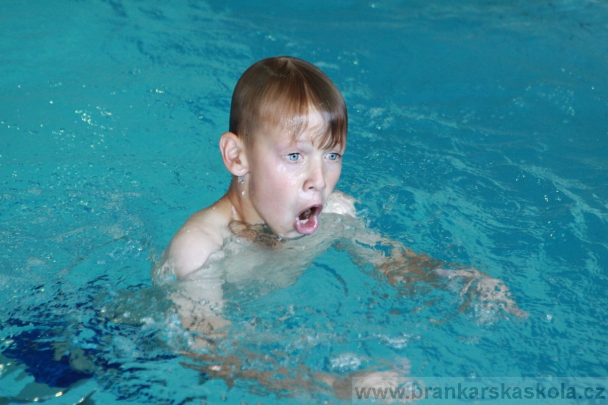 BFŠJCH - Léto 2018 - Středa