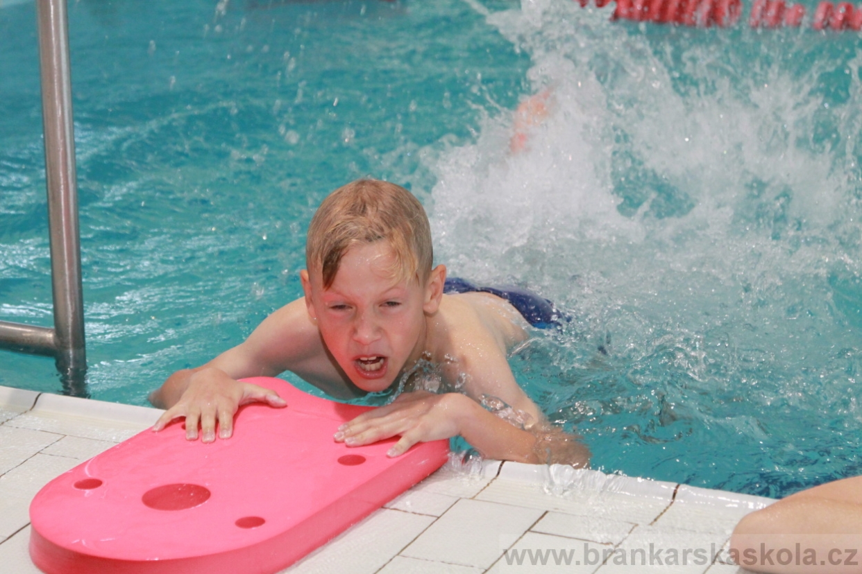 BFŠJCH - Léto 2018 - Středa