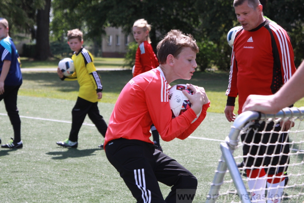 BFŠJCH - Léto 2018 - Středa