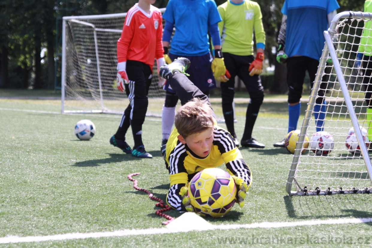 BFŠJCH - Léto 2018 - Středa
