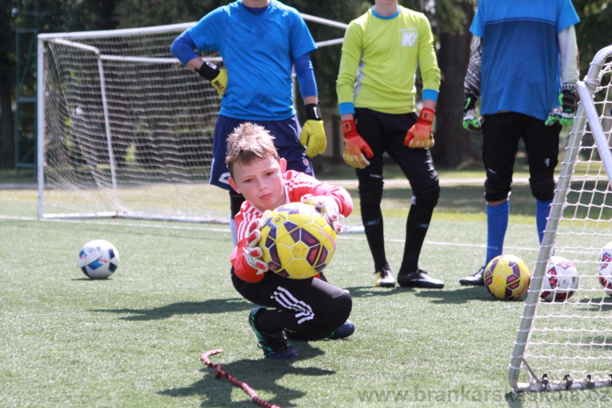 BFŠJCH - Léto 2018 - Středa