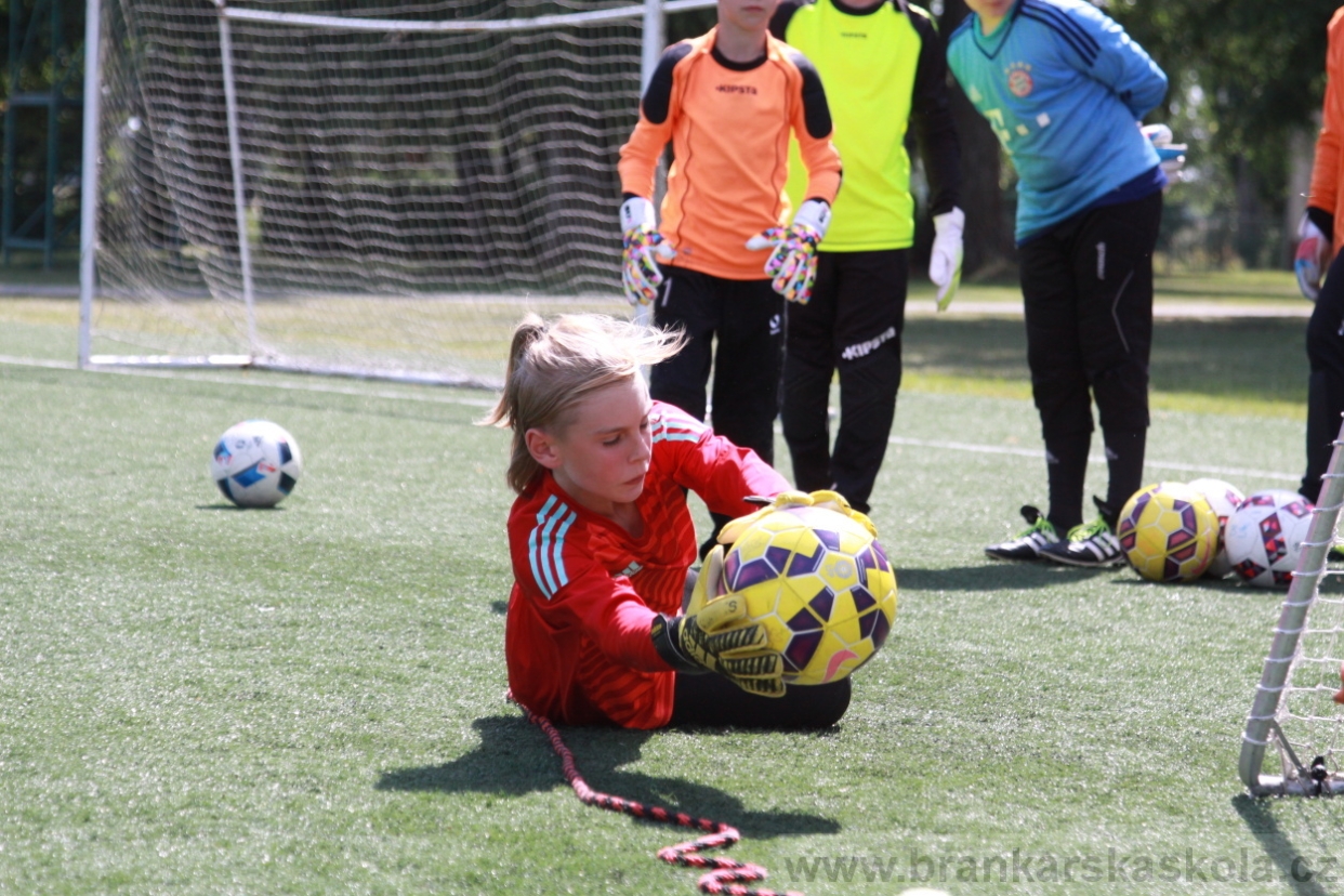BFŠJCH - Léto 2018 - Středa