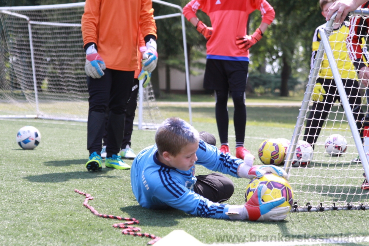 BFŠJCH - Léto 2018 - Středa