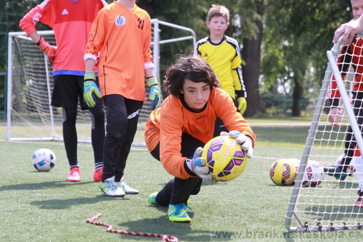 BFŠJCH - Léto 2018 - Středa