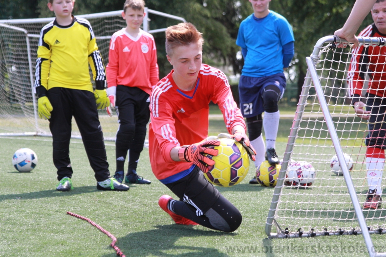 BFŠJCH - Léto 2018 - Středa