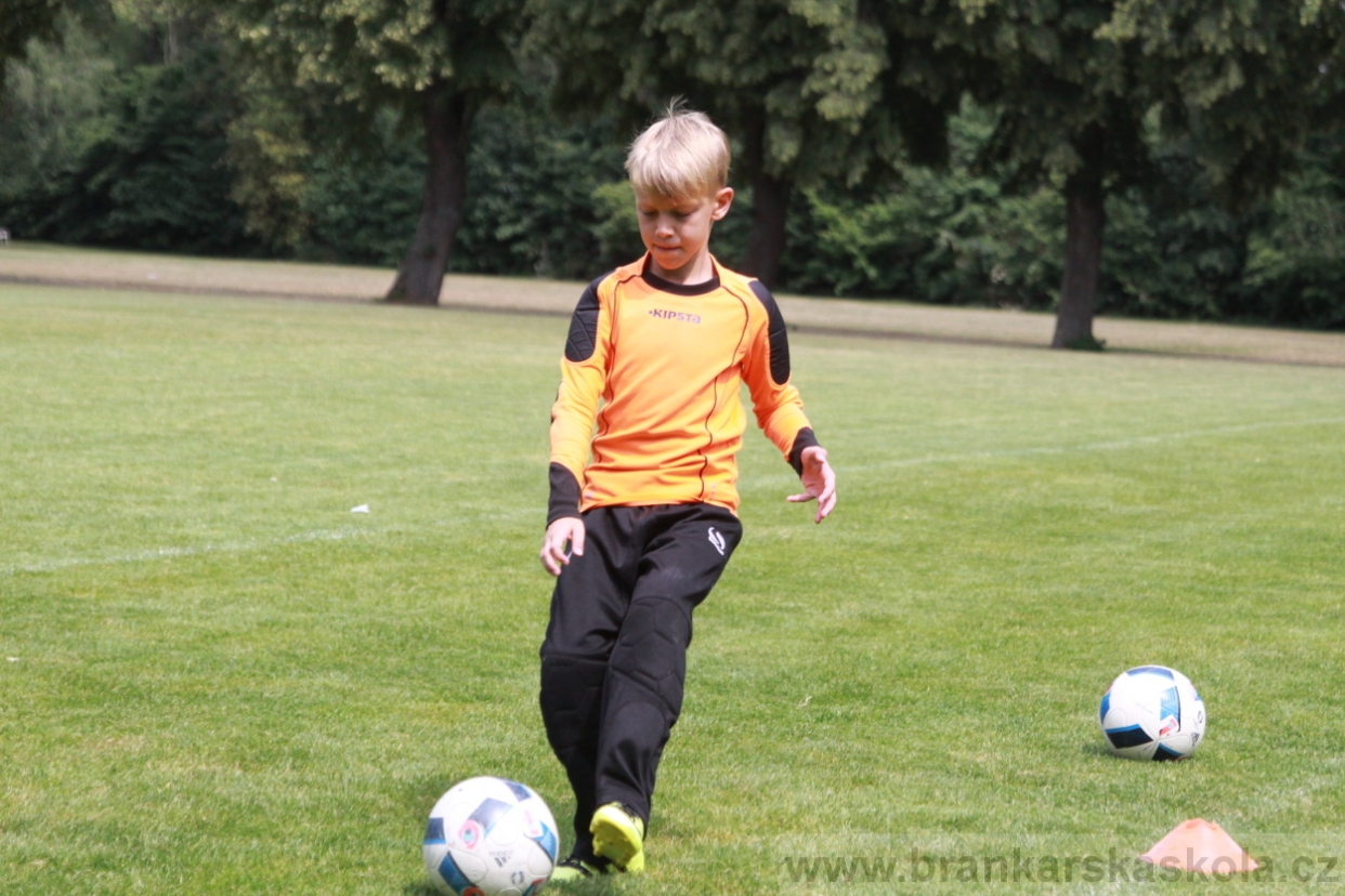 BFŠJCH - Léto 2018 - Pátek