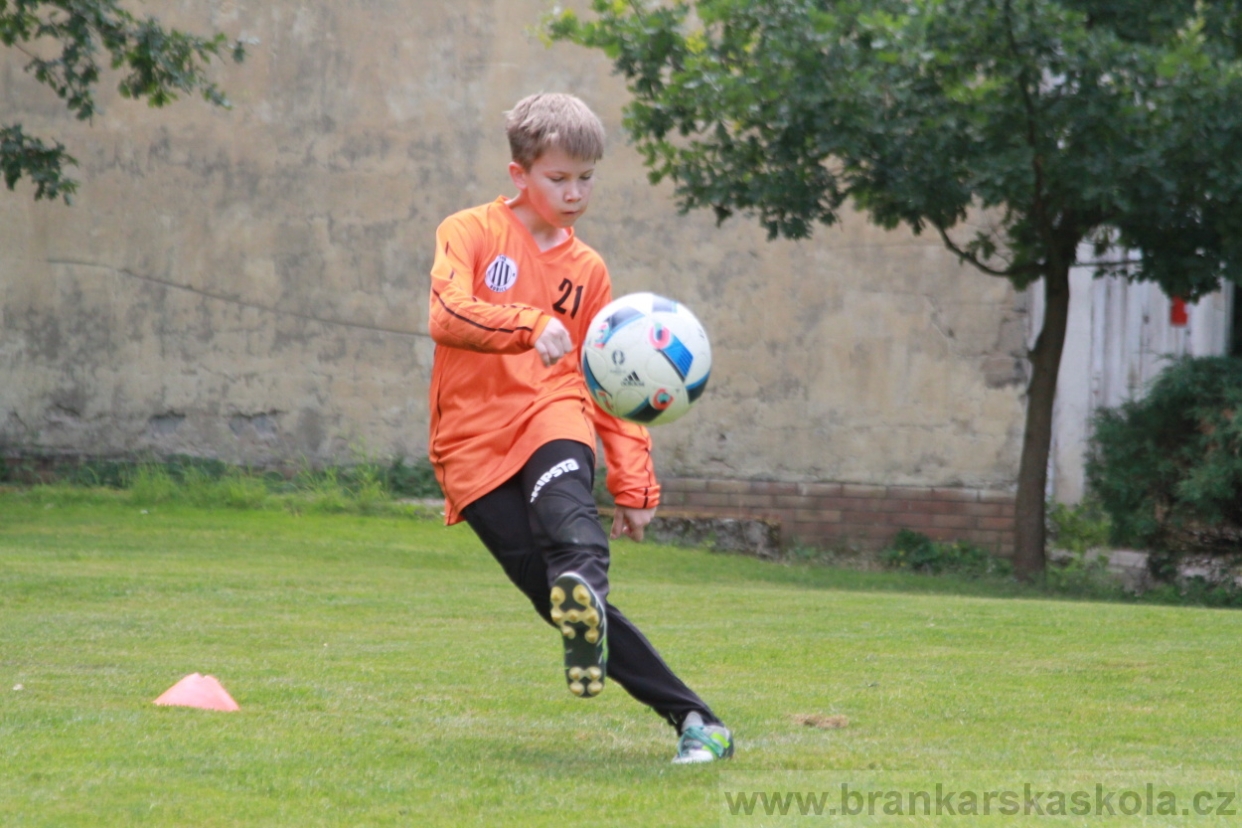 BFŠJCH - Léto 2018 - Pátek