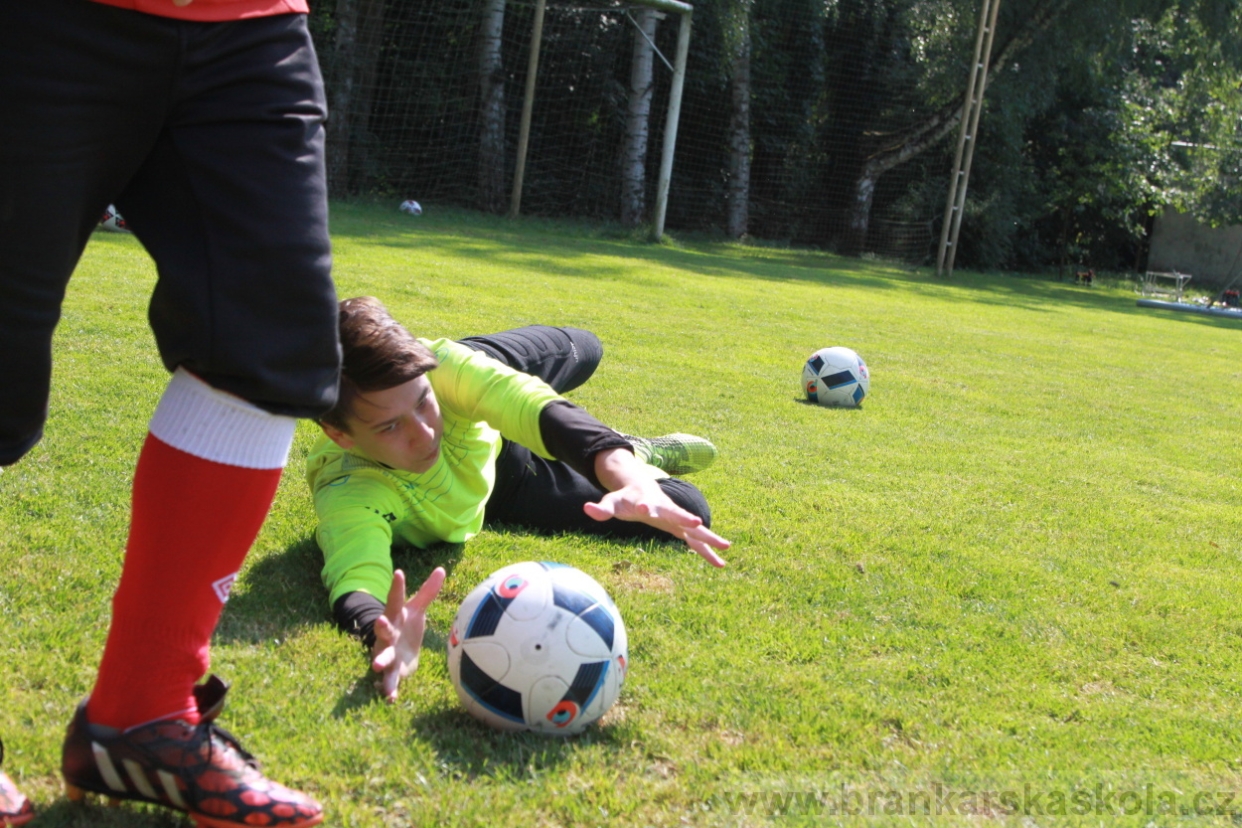 BFŠJCH - Léto 2018 - Pátek