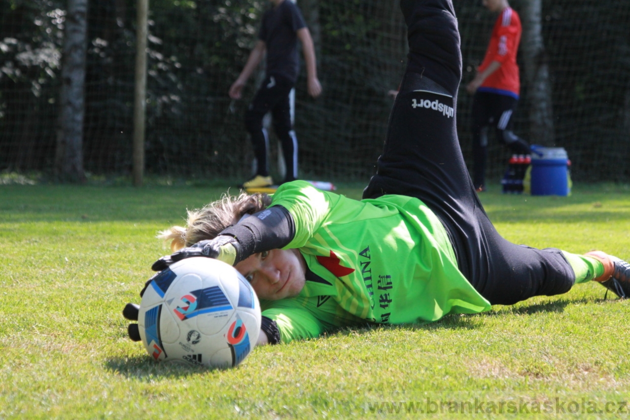 BFŠJCH - Léto 2018 - Pátek