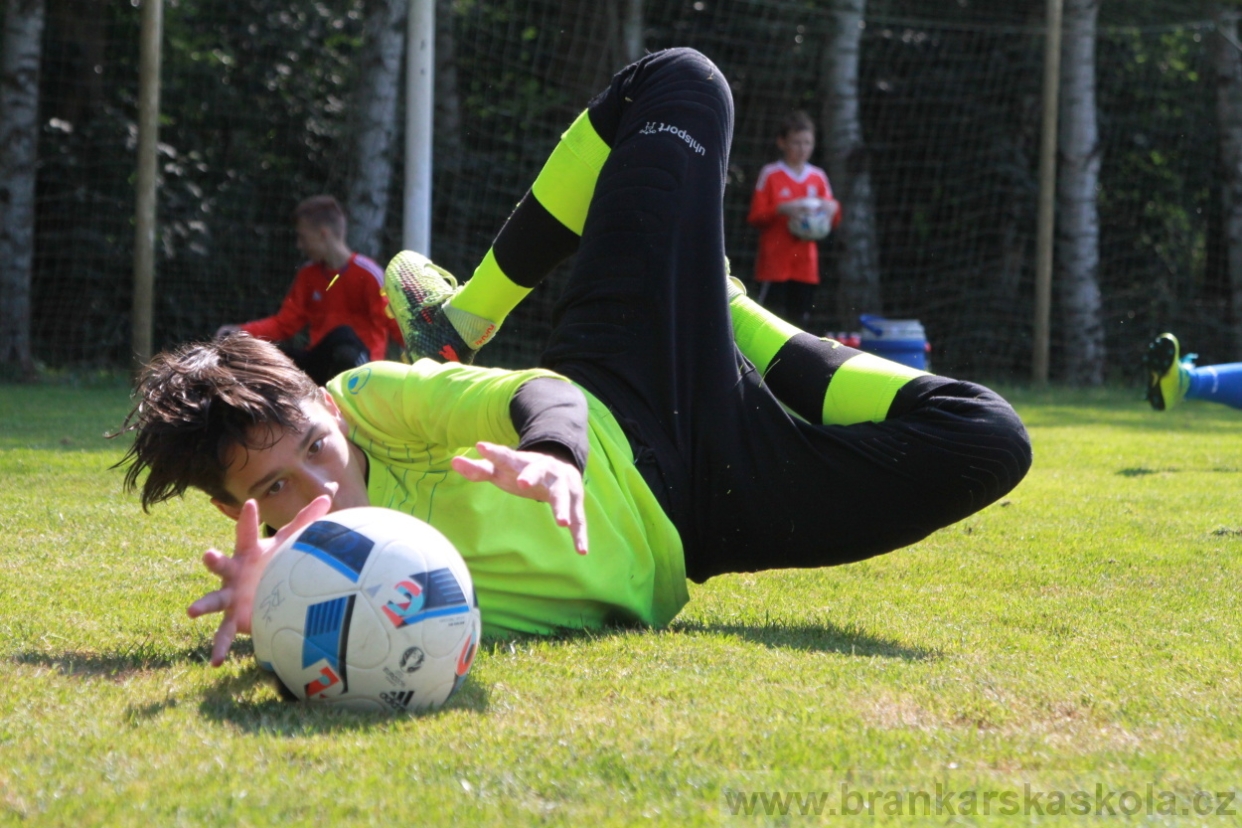 BFŠJCH - Léto 2018 - Pátek