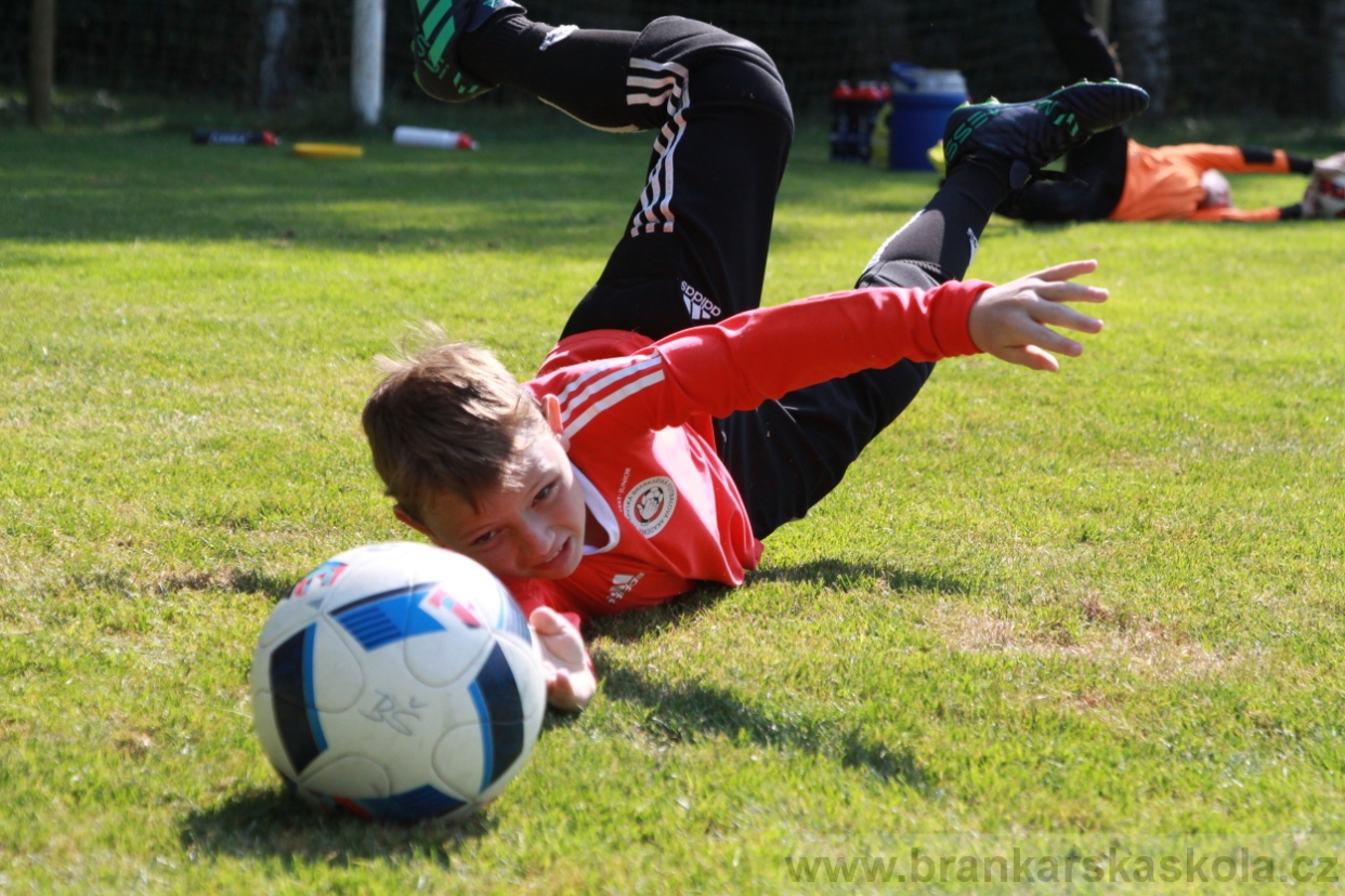 BFŠJCH - Léto 2018 - Pátek