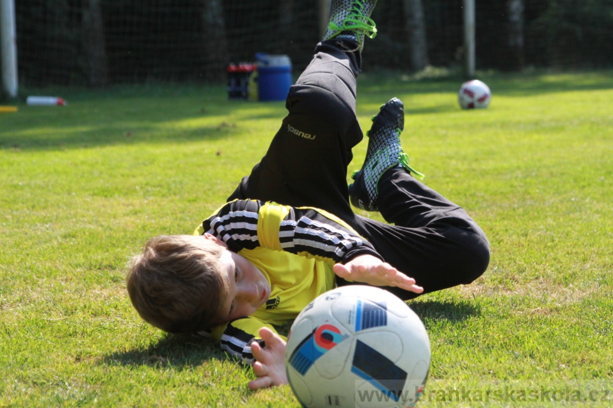 BFŠJCH - Léto 2018 - Pátek