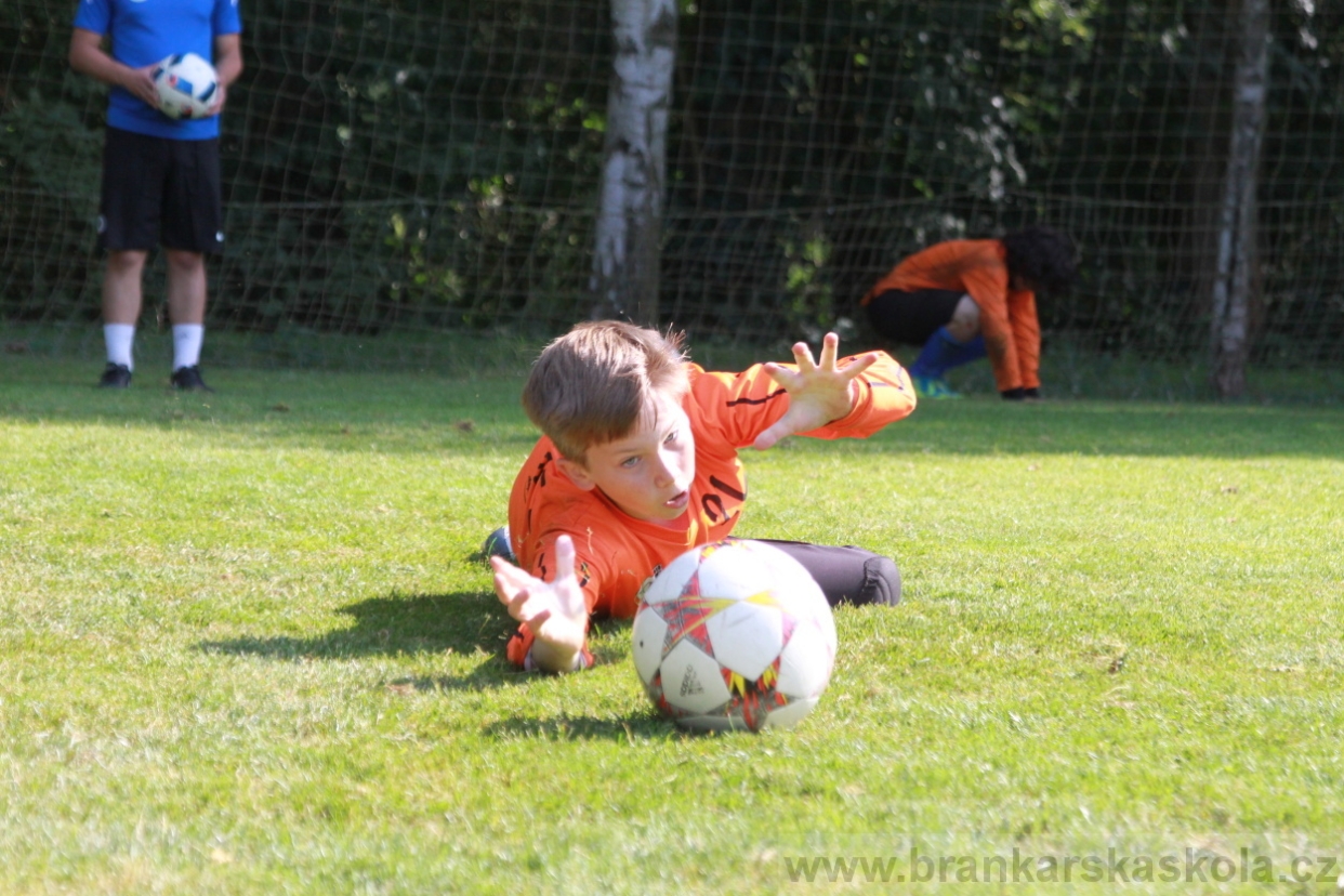 BFŠJCH - Léto 2018 - Pátek