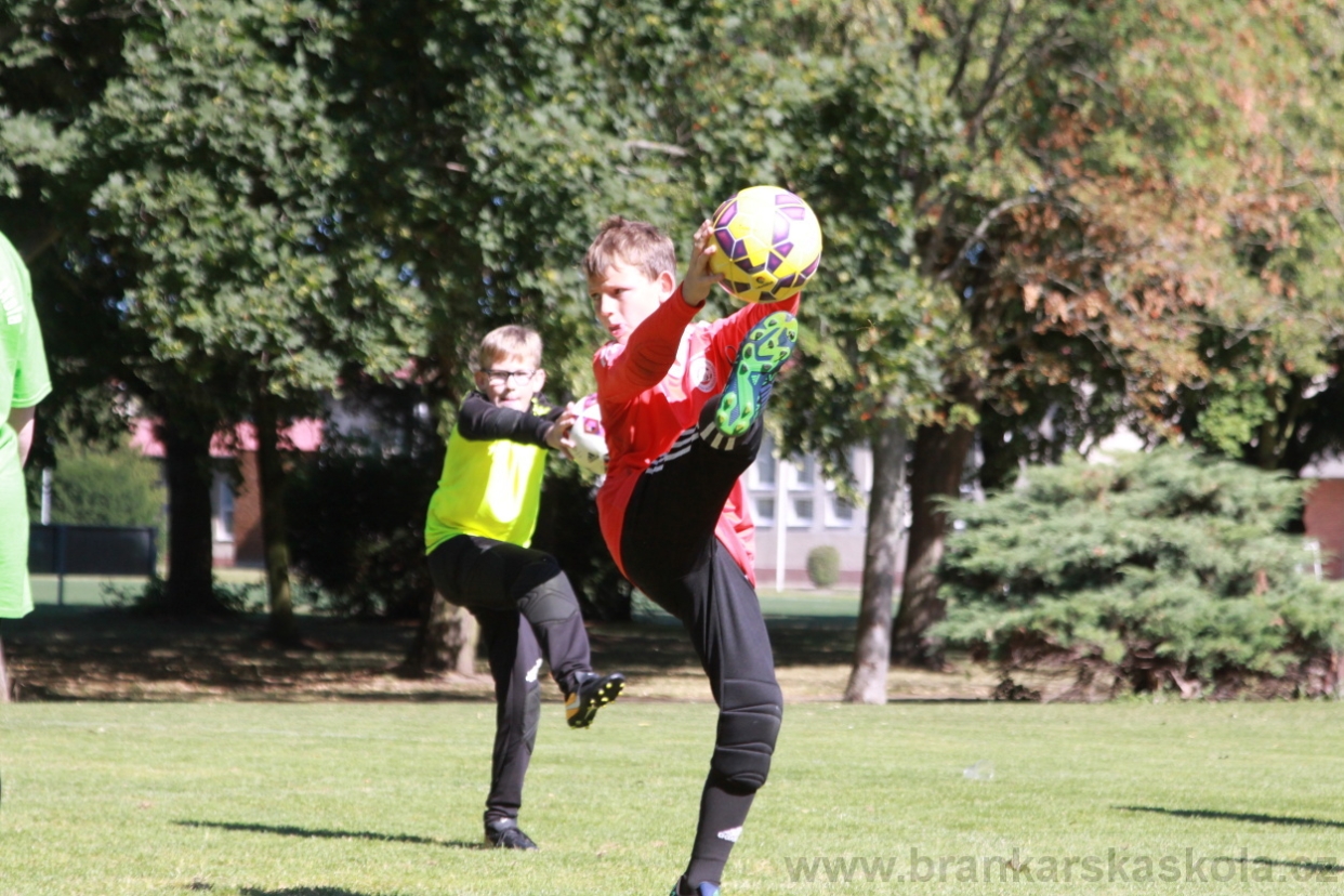 BFŠJCH - Léto 2018 - Sobota