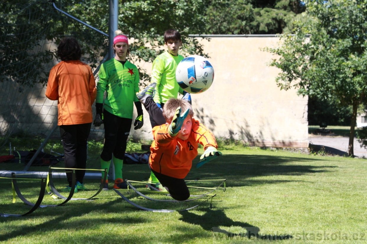 BFŠJCH - Léto 2018 - Sobota