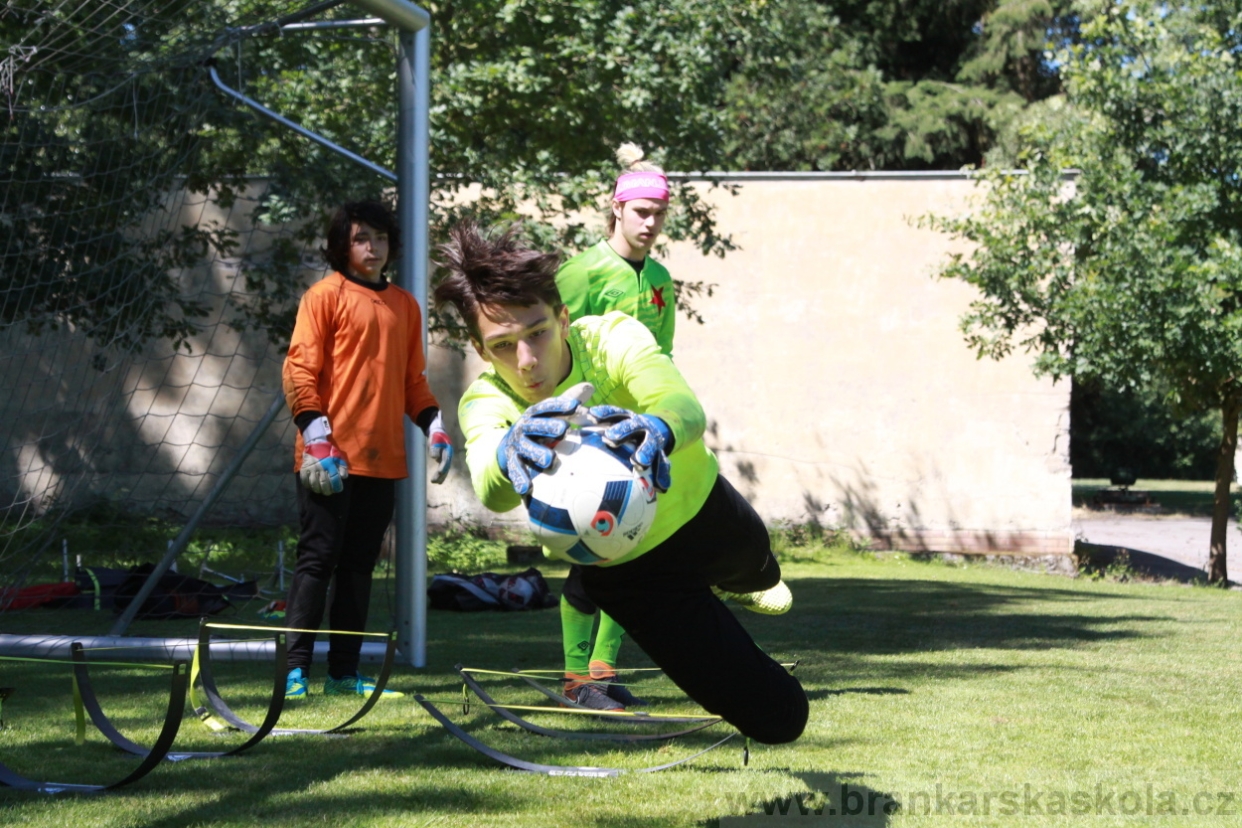 BFŠJCH - Léto 2018 - Sobota