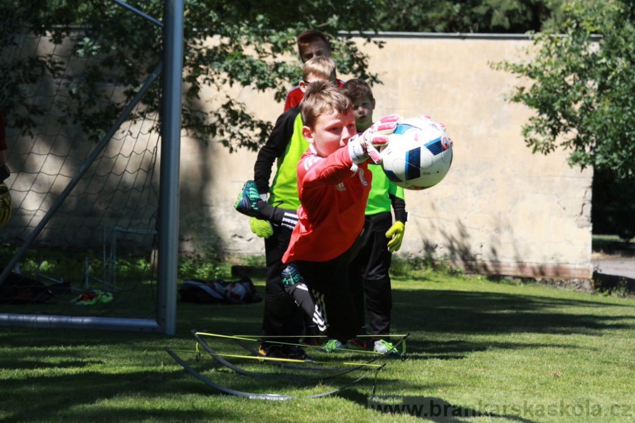 BFŠJCH - Léto 2018 - Sobota