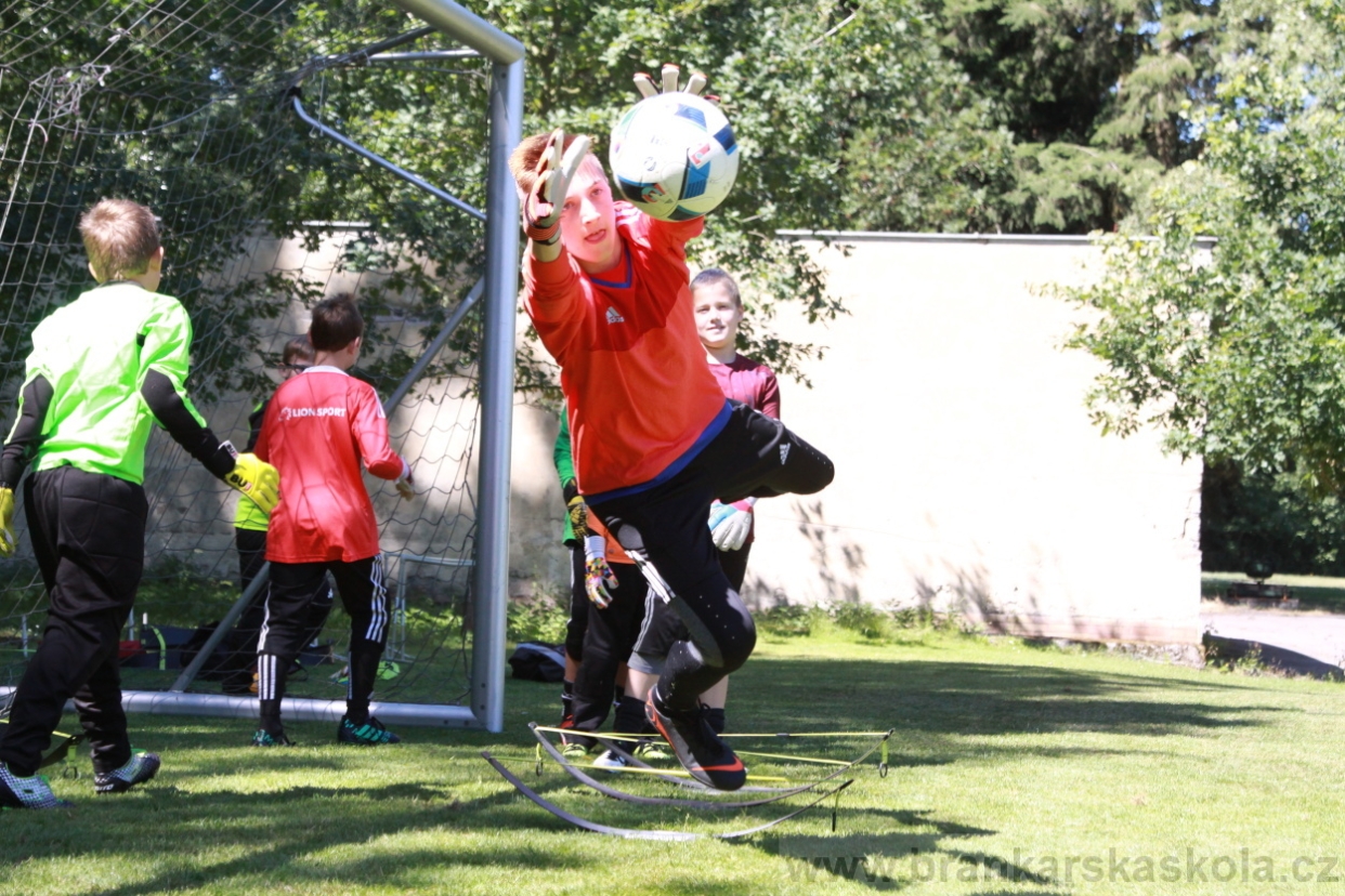 BFŠJCH - Léto 2018 - Sobota