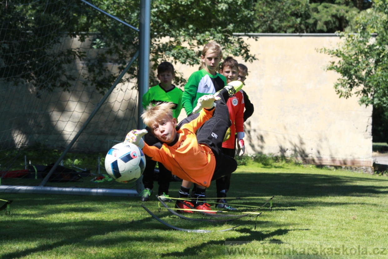 BFŠJCH - Léto 2018 - Sobota