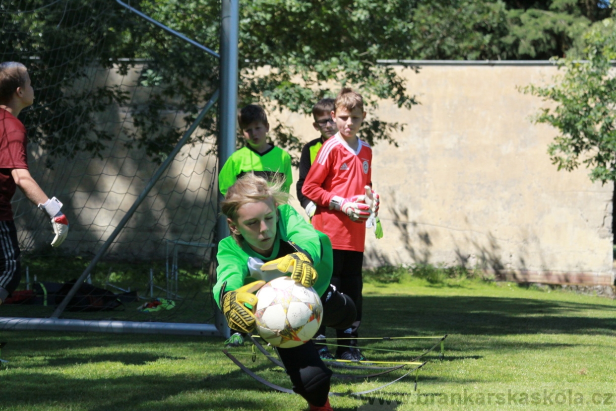 BFŠJCH - Léto 2018 - Sobota