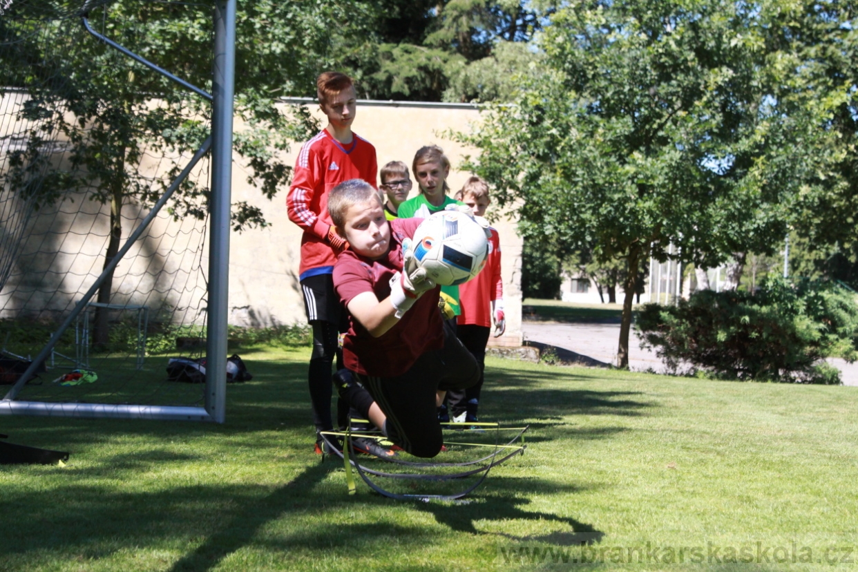 BFŠJCH - Léto 2018 - Sobota